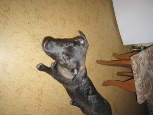 IMG_2770.JPG