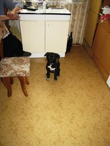 IMG_2771.JPG
