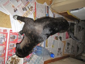 IMG_2774.JPG