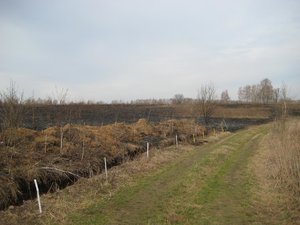 IMG_3448.JPG