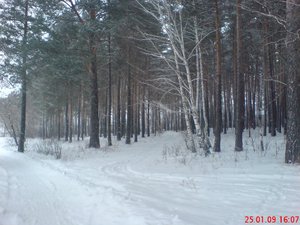 DSC00111.JPG