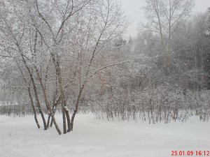 DSC00115.JPG