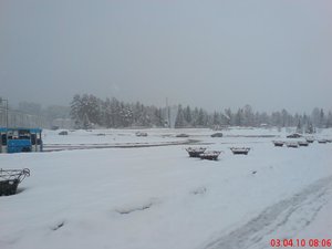 DSC00518.JPG