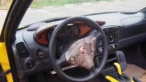 P1013437.JPG
