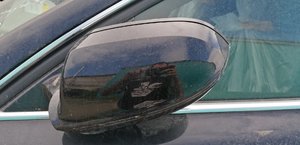 IMG_20200727_165434.jpg