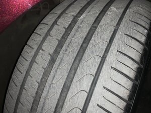 IMG_2589.jpg