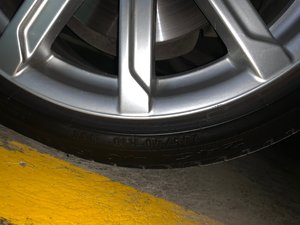 IMG_2594.jpg