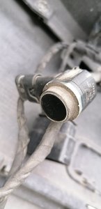 IMG_20200805_174647.jpg