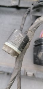 IMG_20200805_174641.jpg
