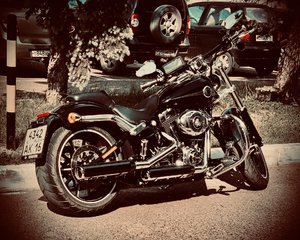 IMG_2737.jpeg