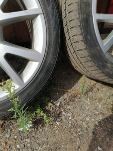 IMG_20200805_142002.jpg