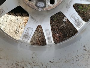 IMG_20200805_142105.jpg