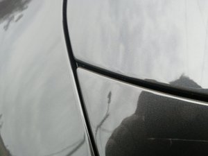 IMG_20200917_151246.jpg