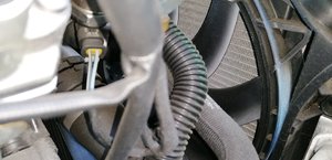 IMG_20200714_193249.jpg