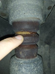 IMG_20200920_192650.jpg