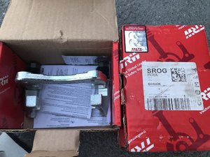 IMG_3525.jpeg
