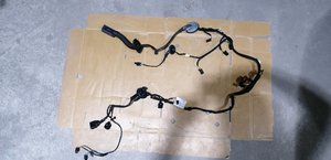IMG_20200928_192417.jpg