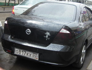 кот.jpg