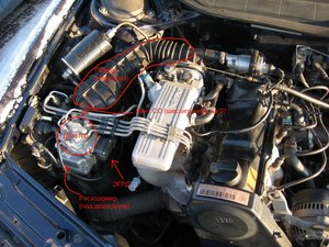 IMG_0123.jpg