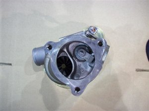 100_0313 (Medium).JPG