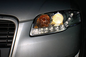 IMG_1552.jpg
