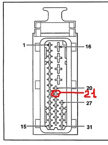 eca8909e9838.jpg