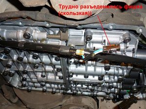 P1000844.JPG