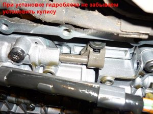 P1000845.JPG