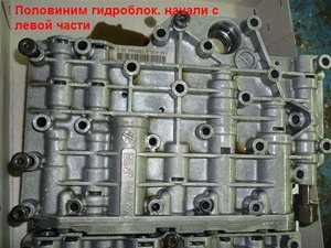 P1000857.JPG
