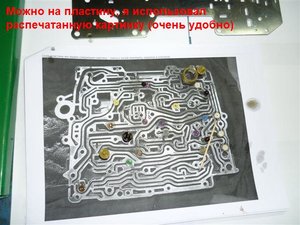 P1000887.JPG