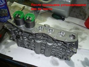 P1000928.JPG