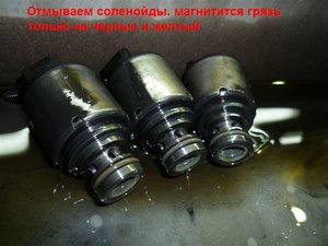 P1000931.JPG