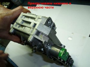 P1000935.JPG