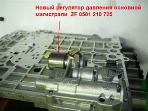 P1000936.JPG