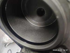IMG_20200923_143731.jpg