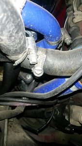 20201027_183742.jpg
