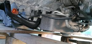 IMG_20201023_171647.jpg