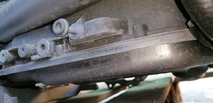 IMG_20201023_171607.jpg