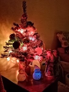 IMG_20191221_210530.jpg