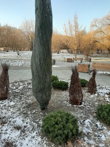 20201208_141252.jpg