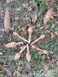 20201208_155921.jpg