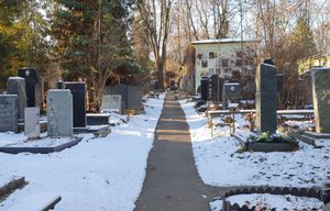 20201210_140223.jpg