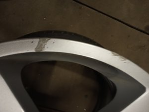 IMG_20201113_170627.jpg