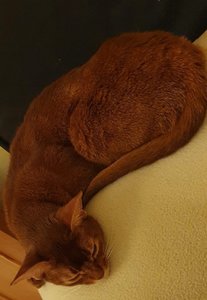 20201219_224756.jpg