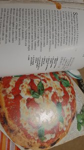 IMG-20201223-WA0005.jpeg