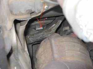 IMG_0120.jpg