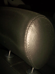 IMGP8433.jpg