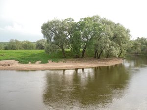 SAM_1103.JPG