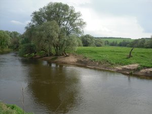 SAM_1106.JPG