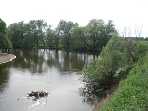 SAM_1110.JPG